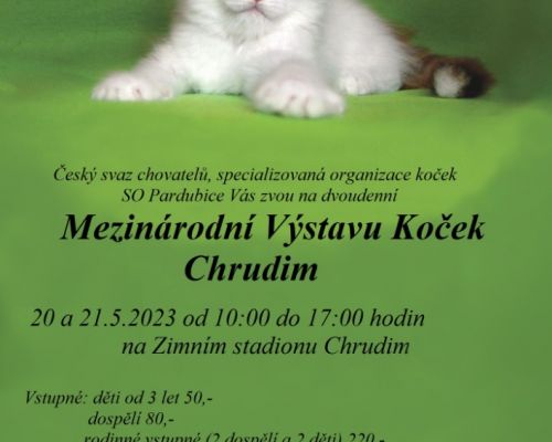 Mezinárodní výstava koček Chrudim