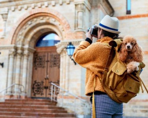 Cestování se zvířaty: Jak předejít zažívacím potížím na cestách